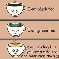 To all the guys and gyals on funsub