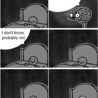 Can cows swim and other things my brain wants to know at 3am
