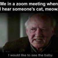 Hearing someone's cat meow