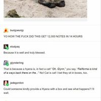 Hyenas loaf