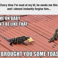 Brought you some toast