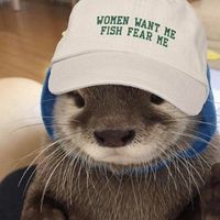 There's No Otter Alternative