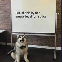 technically correct