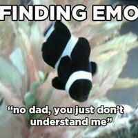Finding emo