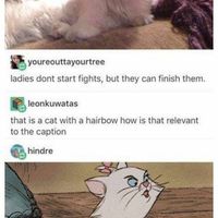 Ladies don't start fights, but they can finish em