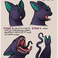 Stages of cat yawn