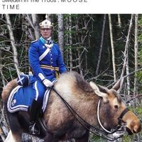 Sad that moose Calvary never went anywhere