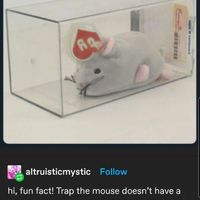 Trap the Mouse