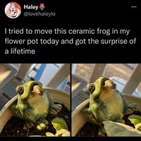 Froggo Fun R #134 - Yo Dawg, I Heard You Like Frogs