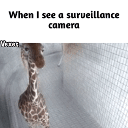 Hello surveillance camera