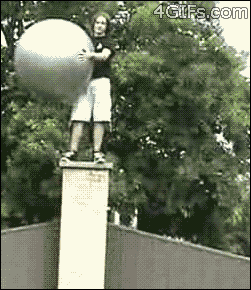 I'll just jump off a wall and use this exercise ball to break my fall. WCGW?