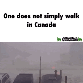 Walking in Canada during winter