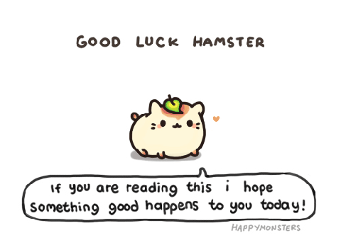 good luck hamster :')