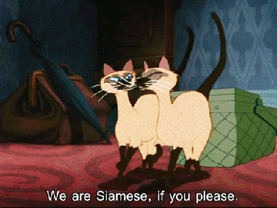 We are Siamese