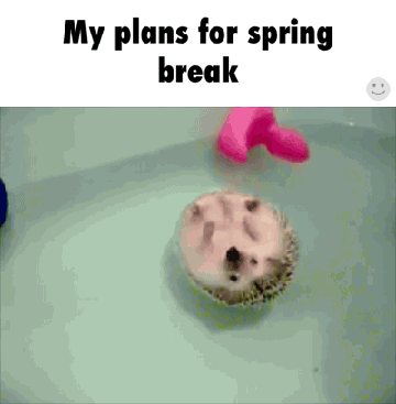 My plans for spring break
