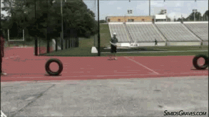 Frisbee thrower nails it