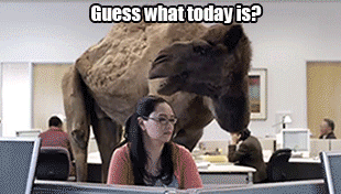 Guess what day it is
