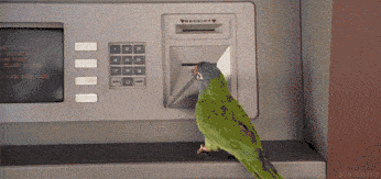 ATM Bird