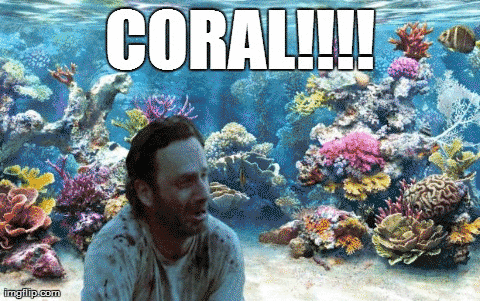 Coral!!!!