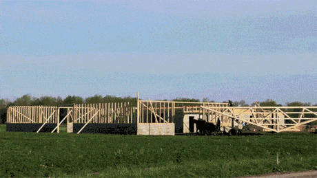 Amish raising a barn in under 10 hours [timelapse]
