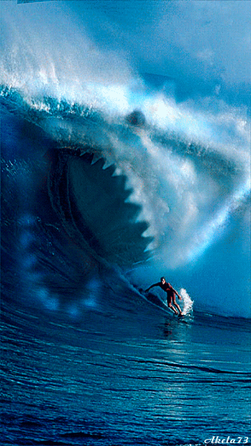 Water Shark vs Surfer