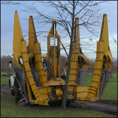 Tree removal device
