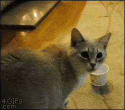 Stuck by cup