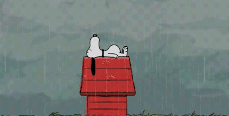 Some might find the rain depressing but I think it is super relaxing
