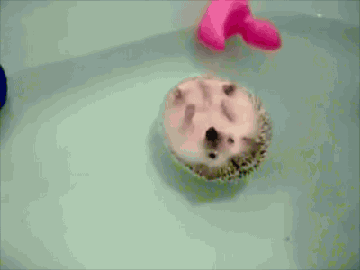 Campaign to replace the loading circle with this hedgehog