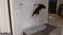 Your door and water device cannot stop me!