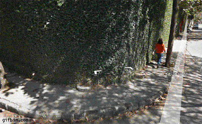 Woman Falls Caught by Google Street View
