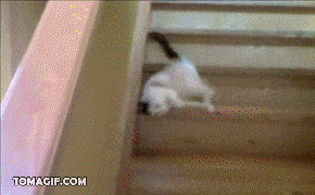 Dis is dee way to go down stairs