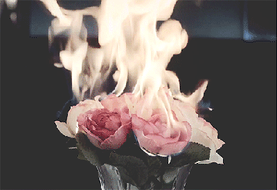 Burning roses!