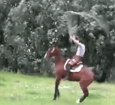 Horse skipping rope