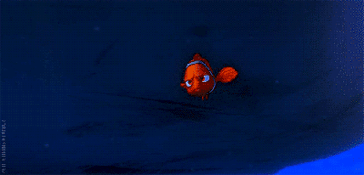 Nemo doesn't approve.