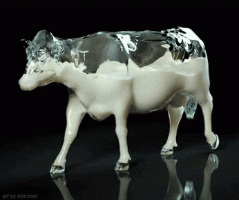 This is how I imagine a cow looks like inside
