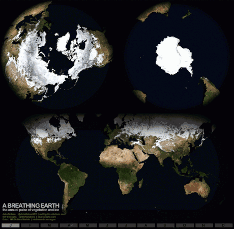 Visible ice from space melts and reforms every year. Earth looks like it's breathing