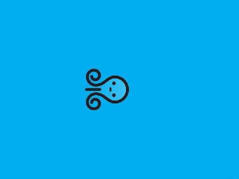 This little blue octopus is mesmorizing
