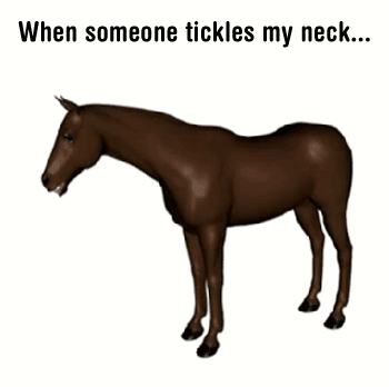 *horse noises*