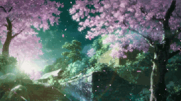 Reasons I want to go to Japan, beautiful sakura