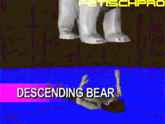 DROP BEAR ATTACK