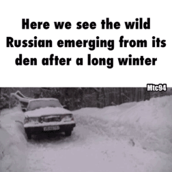 Wild Russian