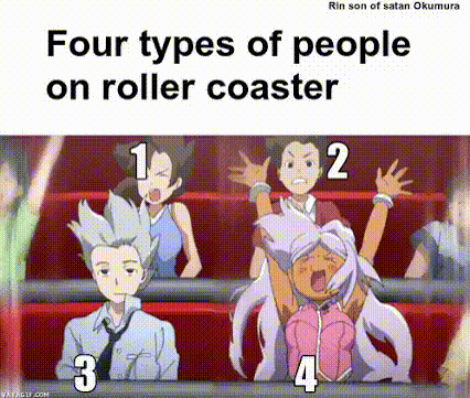 Roller coaster types