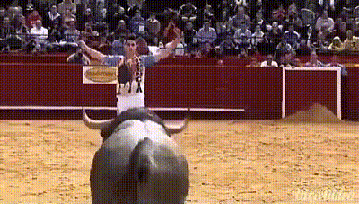 This is how you should bullfight