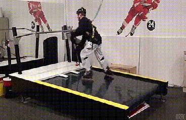 Hockey Treadmill... Today I learned they exist
