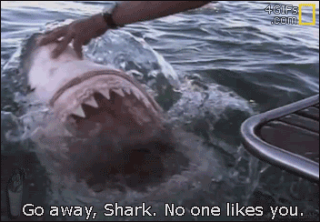 Go away Shark