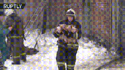 Russian firefighter walks out with the piglets he saved from the fire