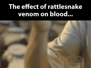 Rattlesnake venom on blood