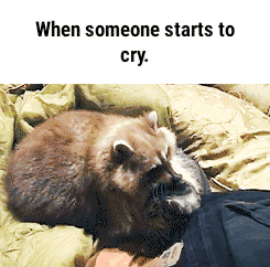 Don't cry :(