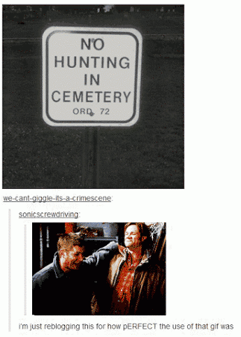 The Winchesters don't care about your silly rules.